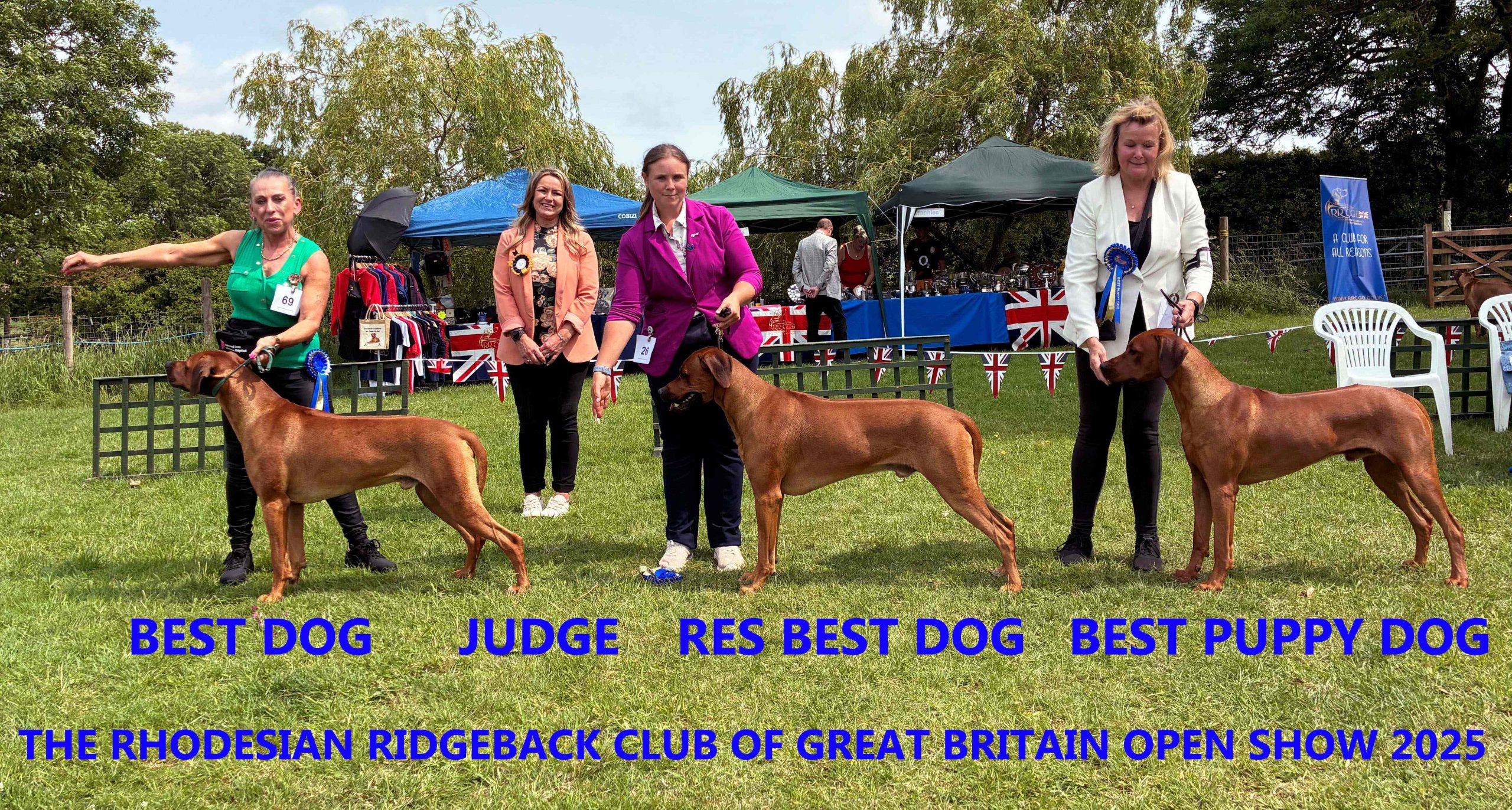 BEST DOGS - web
