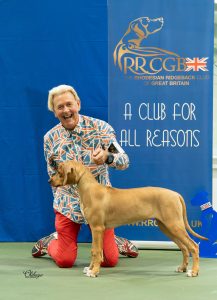 Class 2 Best Baby Puppy In Show